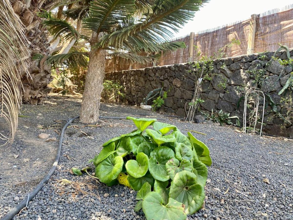 Cabanalanz, Cabanas En Lanzarote San Bartolomé Exteriér fotografie