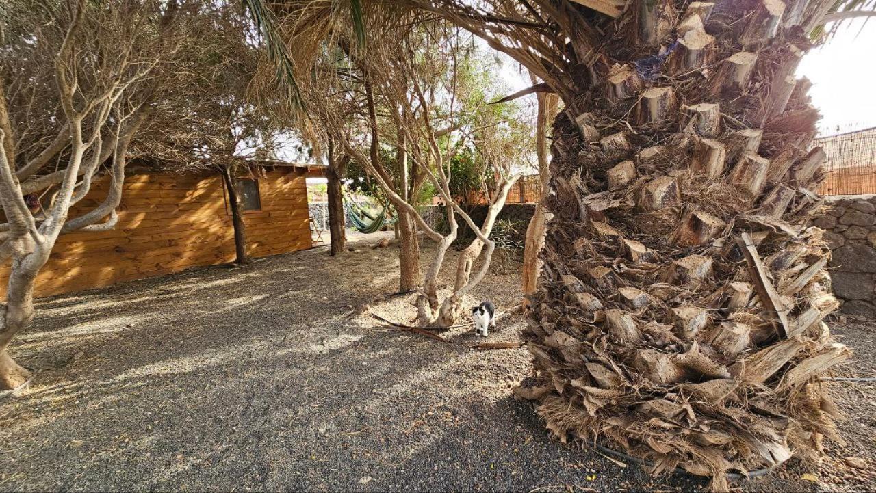 Cabanalanz, Cabanas En Lanzarote San Bartolomé Exteriér fotografie